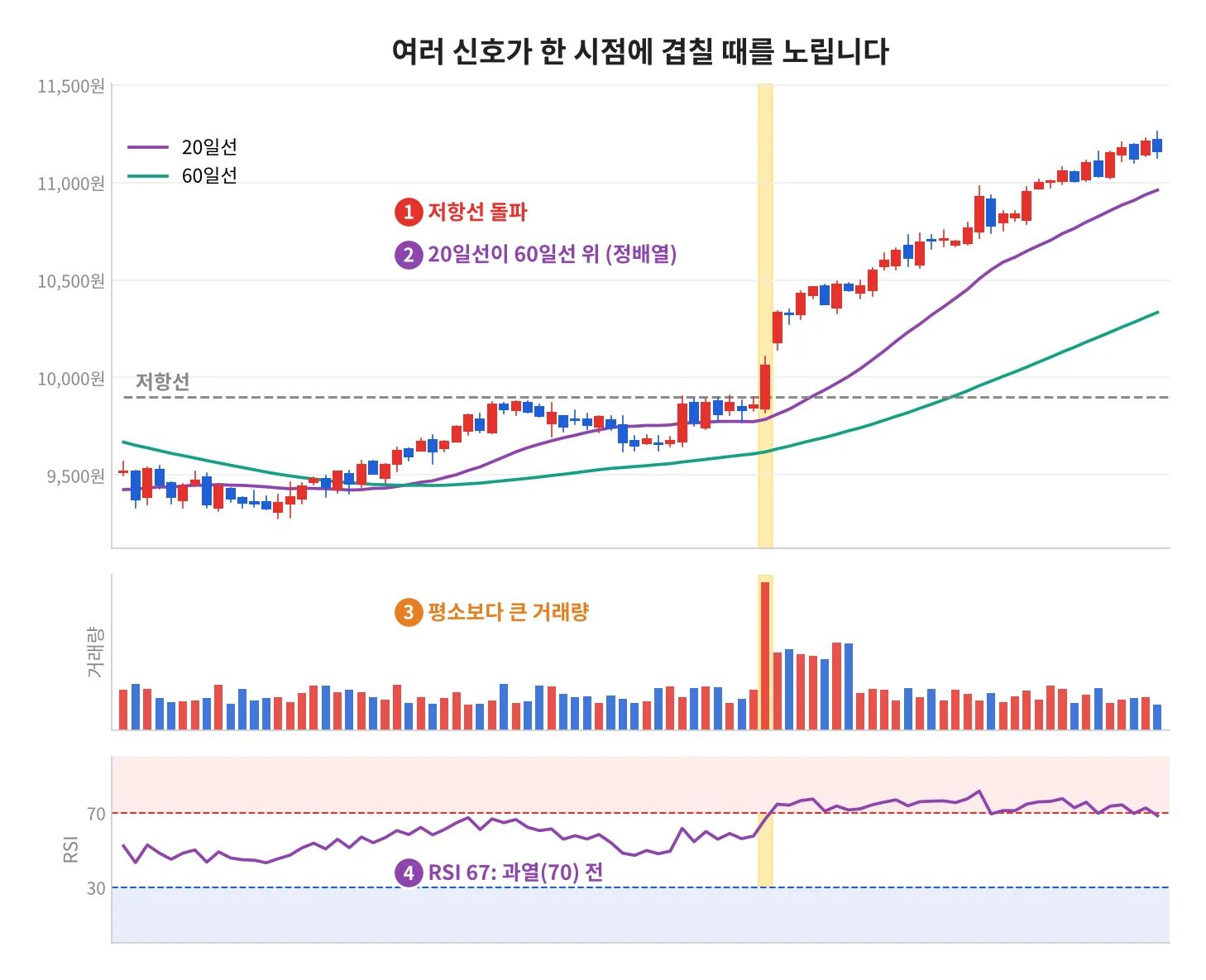 칼럼 사진