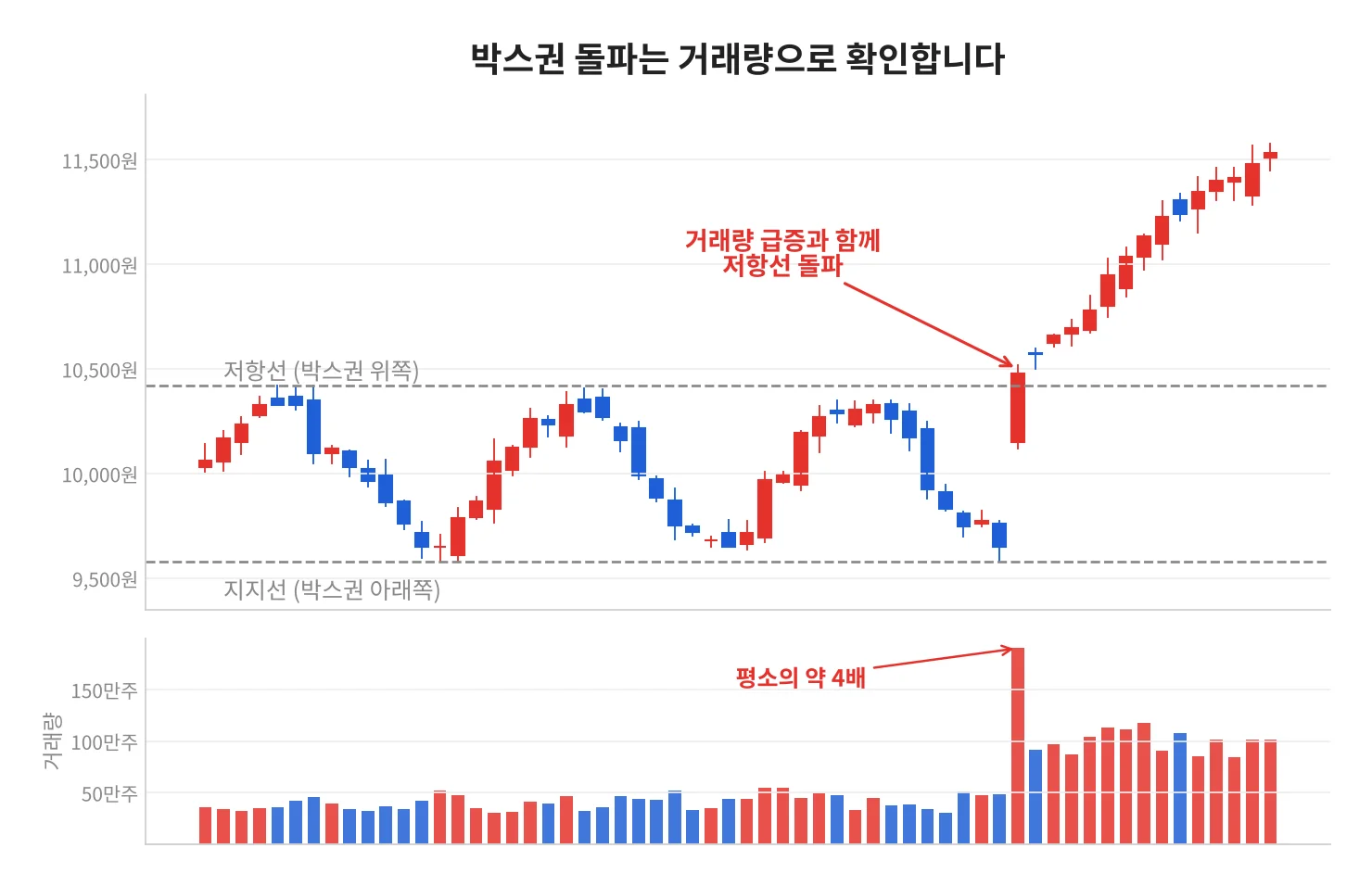 칼럼 사진