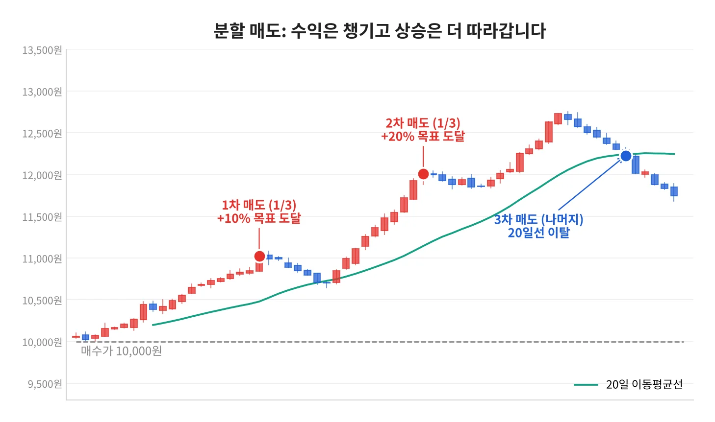 칼럼 사진