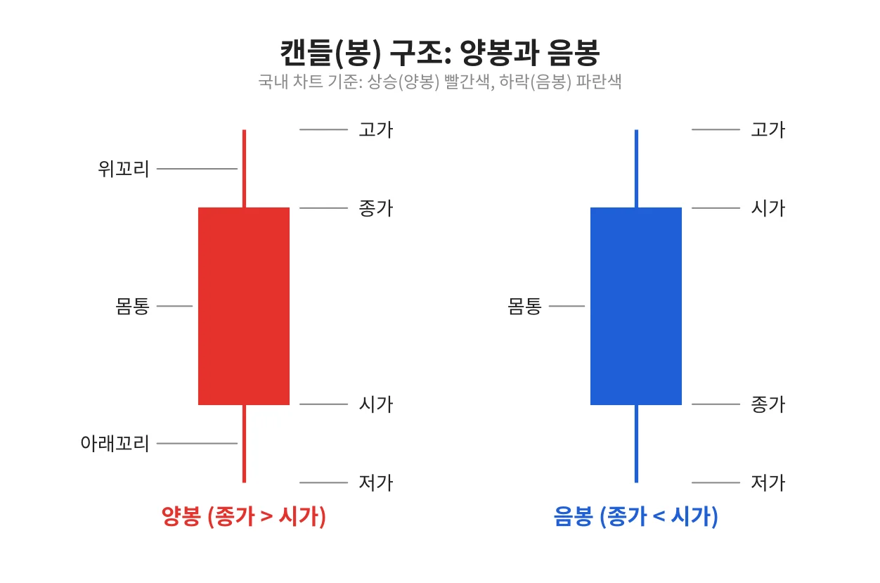 칼럼 사진