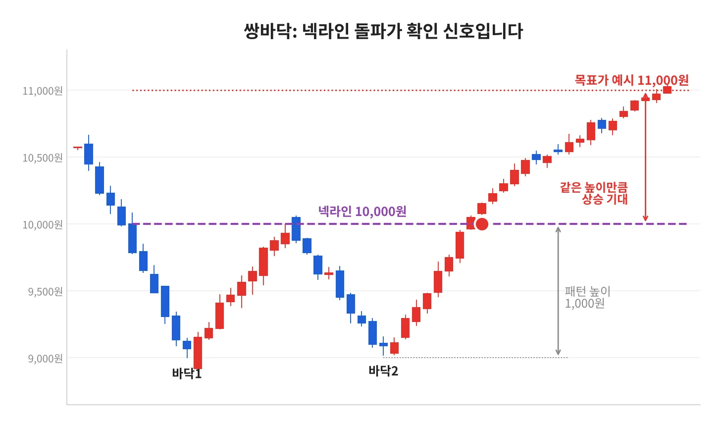 칼럼 사진