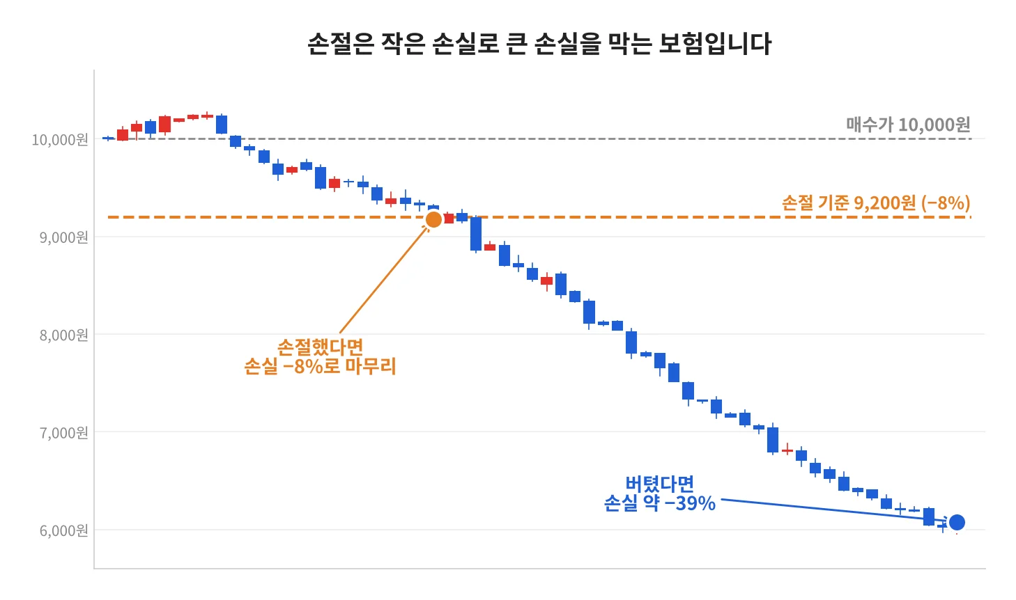 칼럼 사진