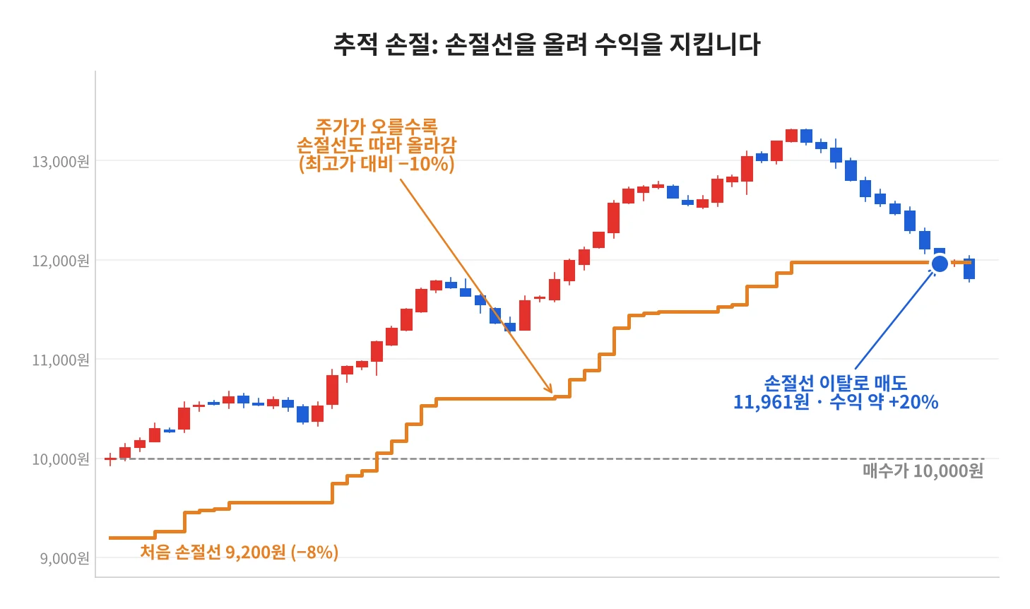 칼럼 사진