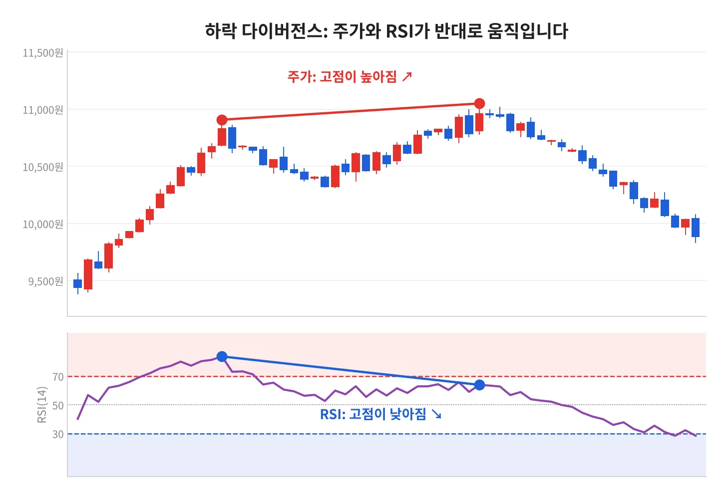 칼럼 사진