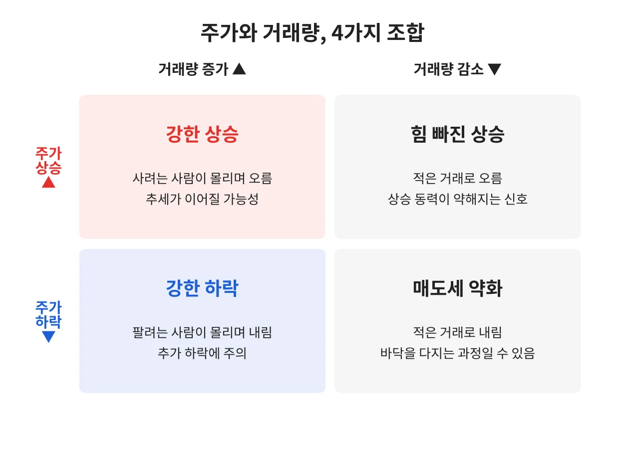 칼럼 사진