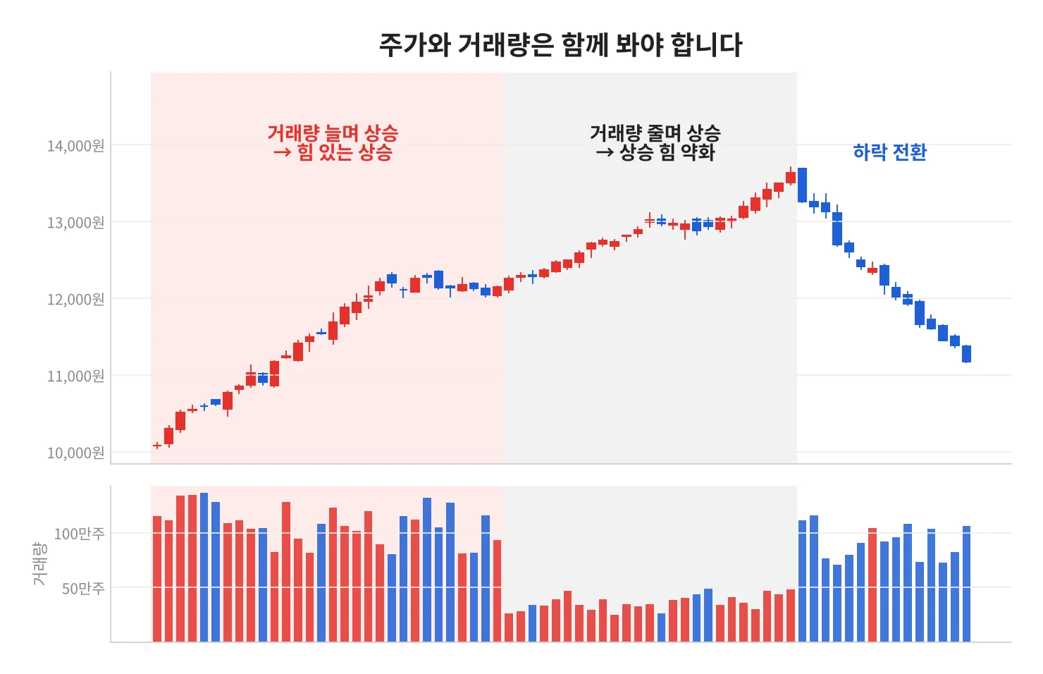 칼럼 사진