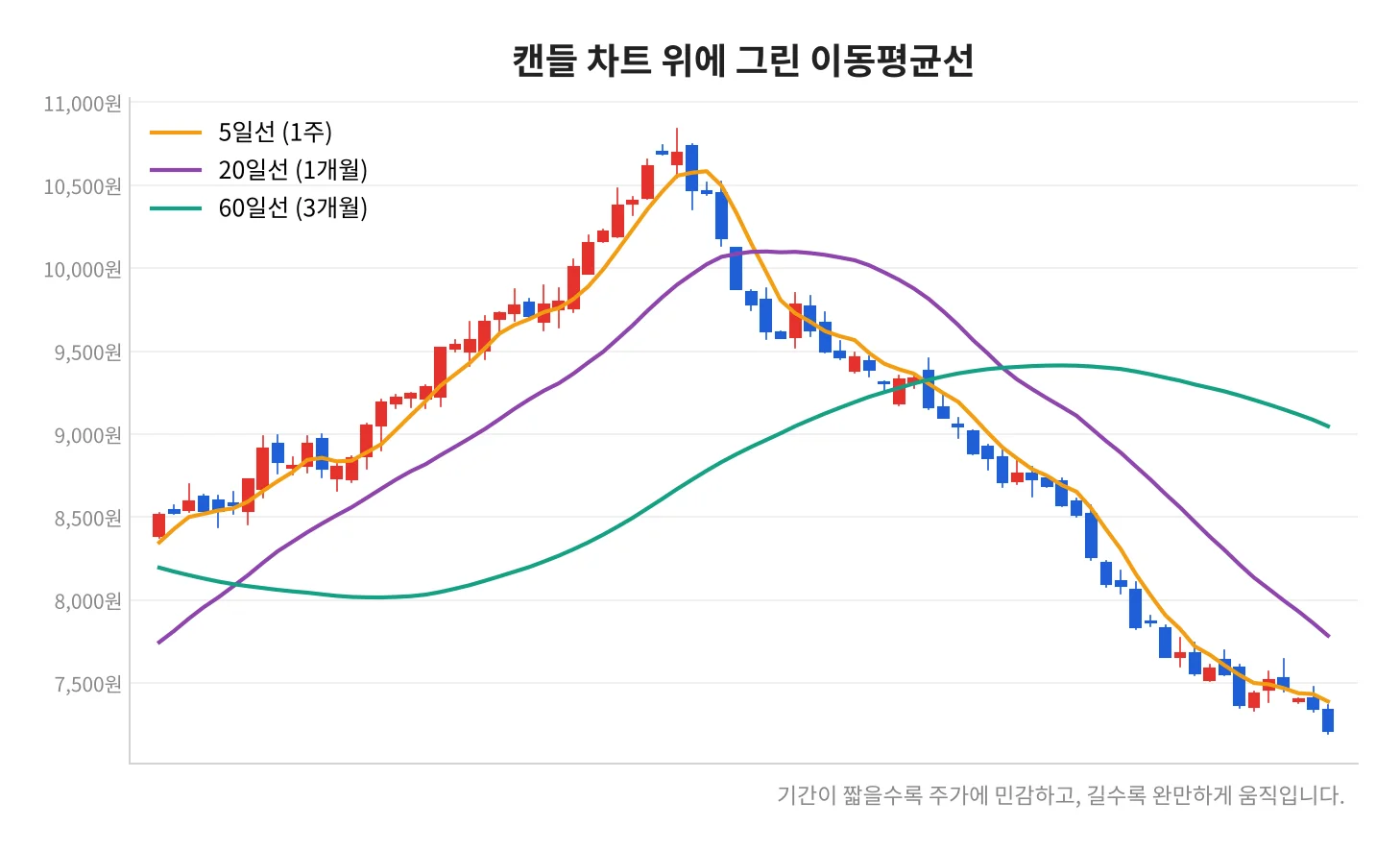 칼럼 사진
