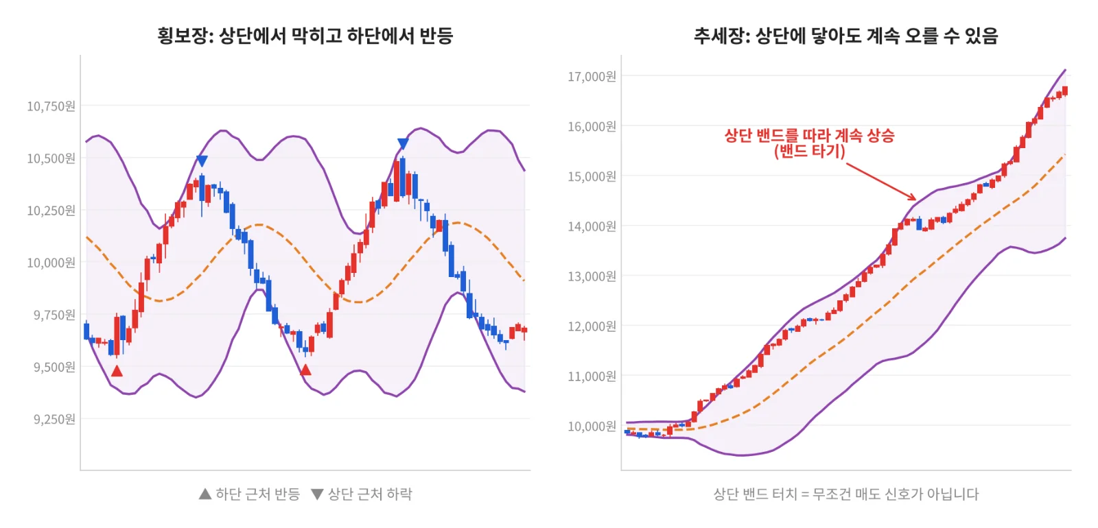 칼럼 사진