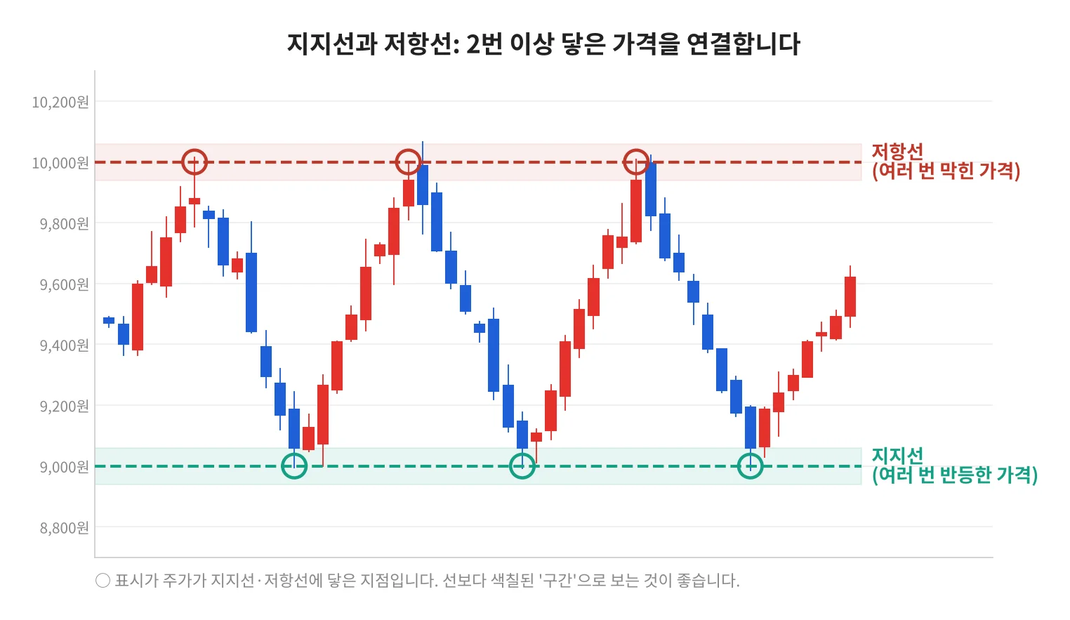칼럼 사진