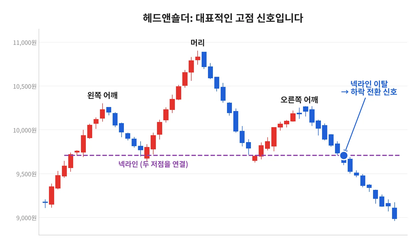 칼럼 사진