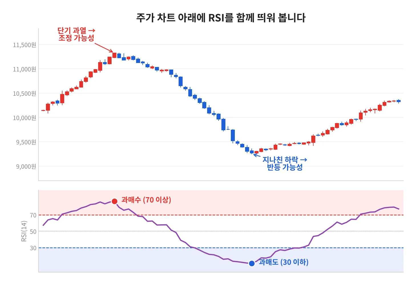 칼럼 사진