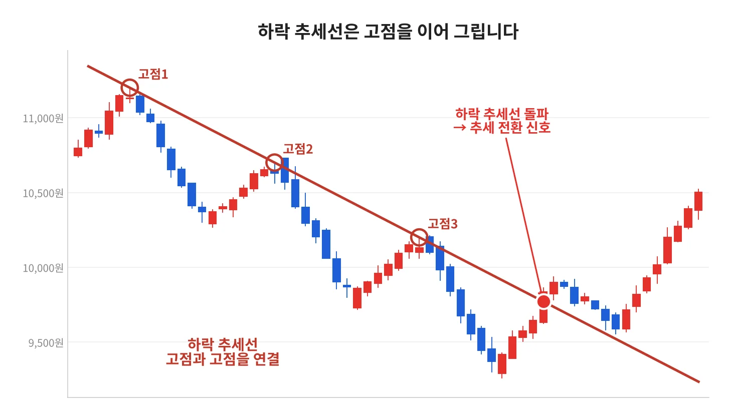 칼럼 사진