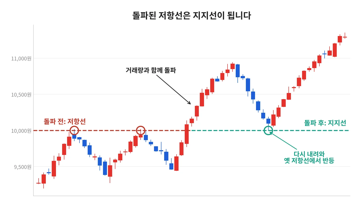 칼럼 사진