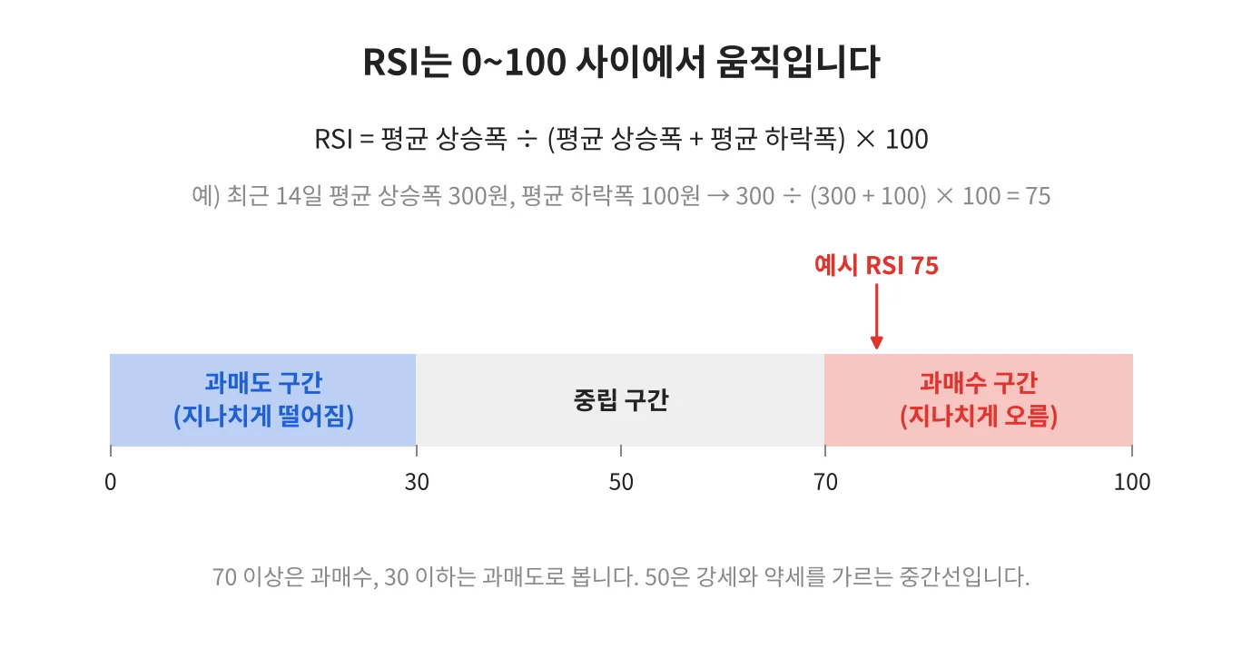 칼럼 사진