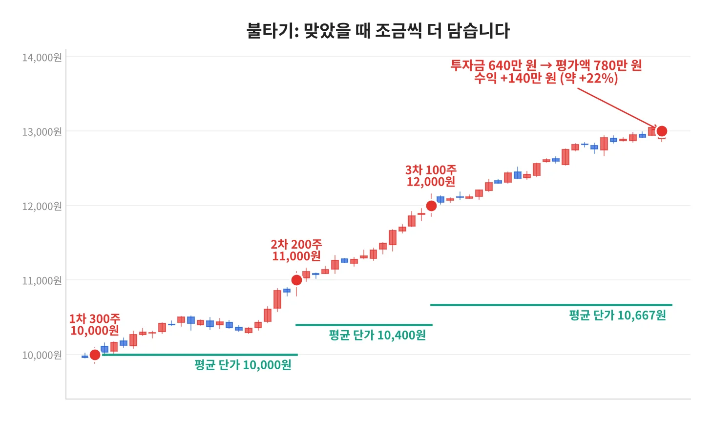 칼럼 사진
