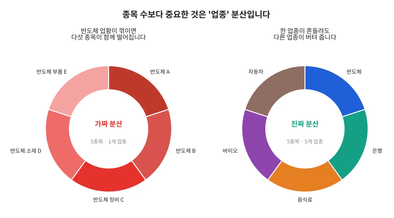 칼럼 사진