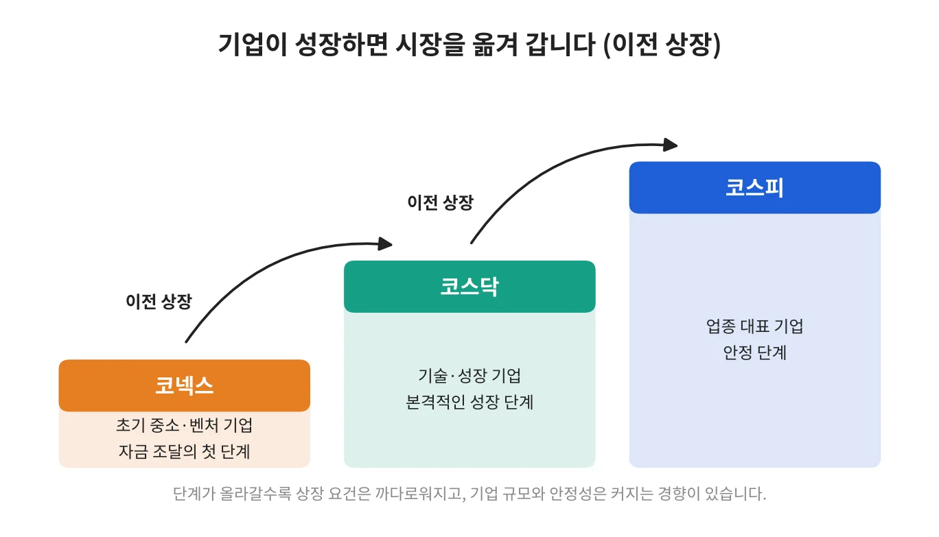 칼럼 사진