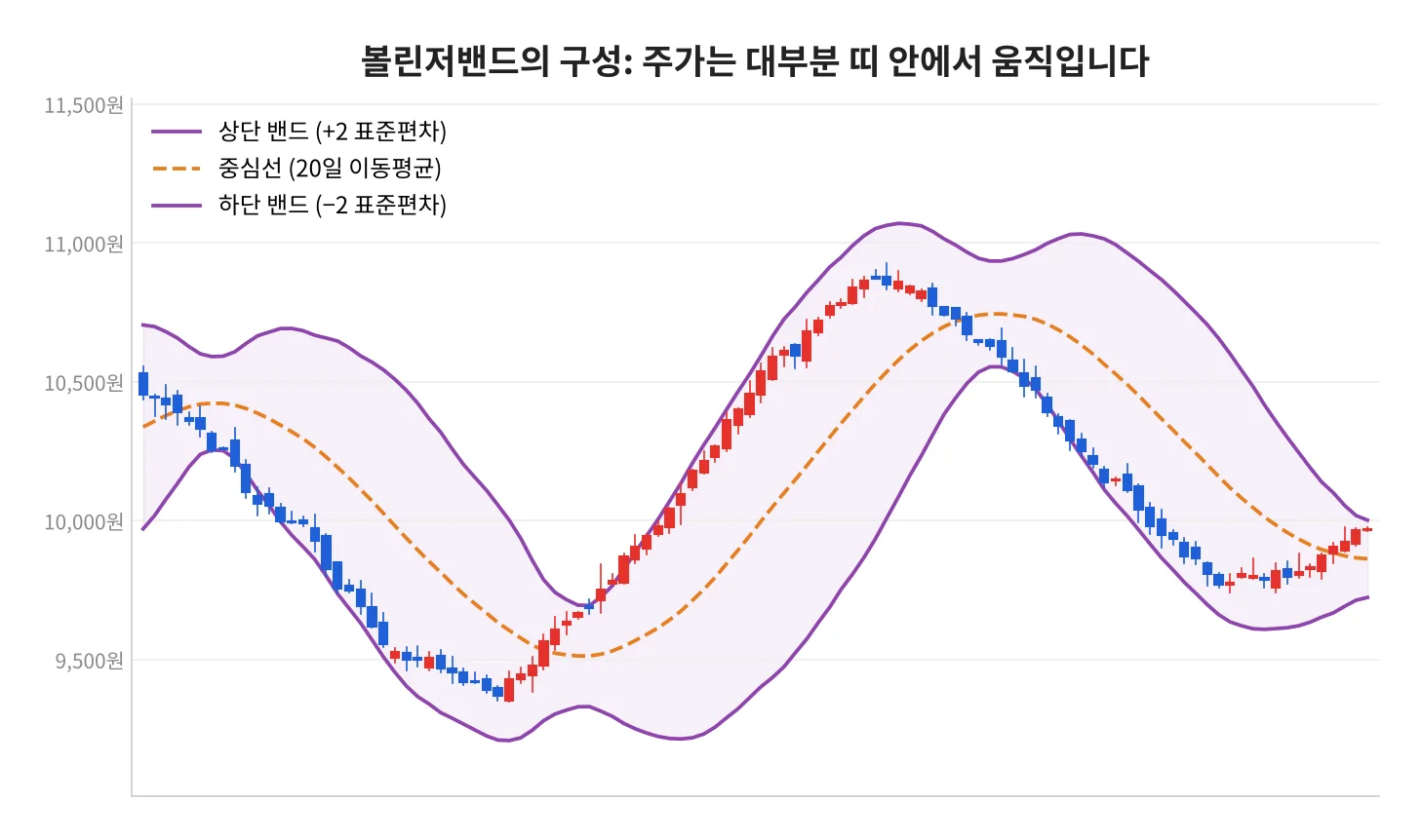 칼럼 사진