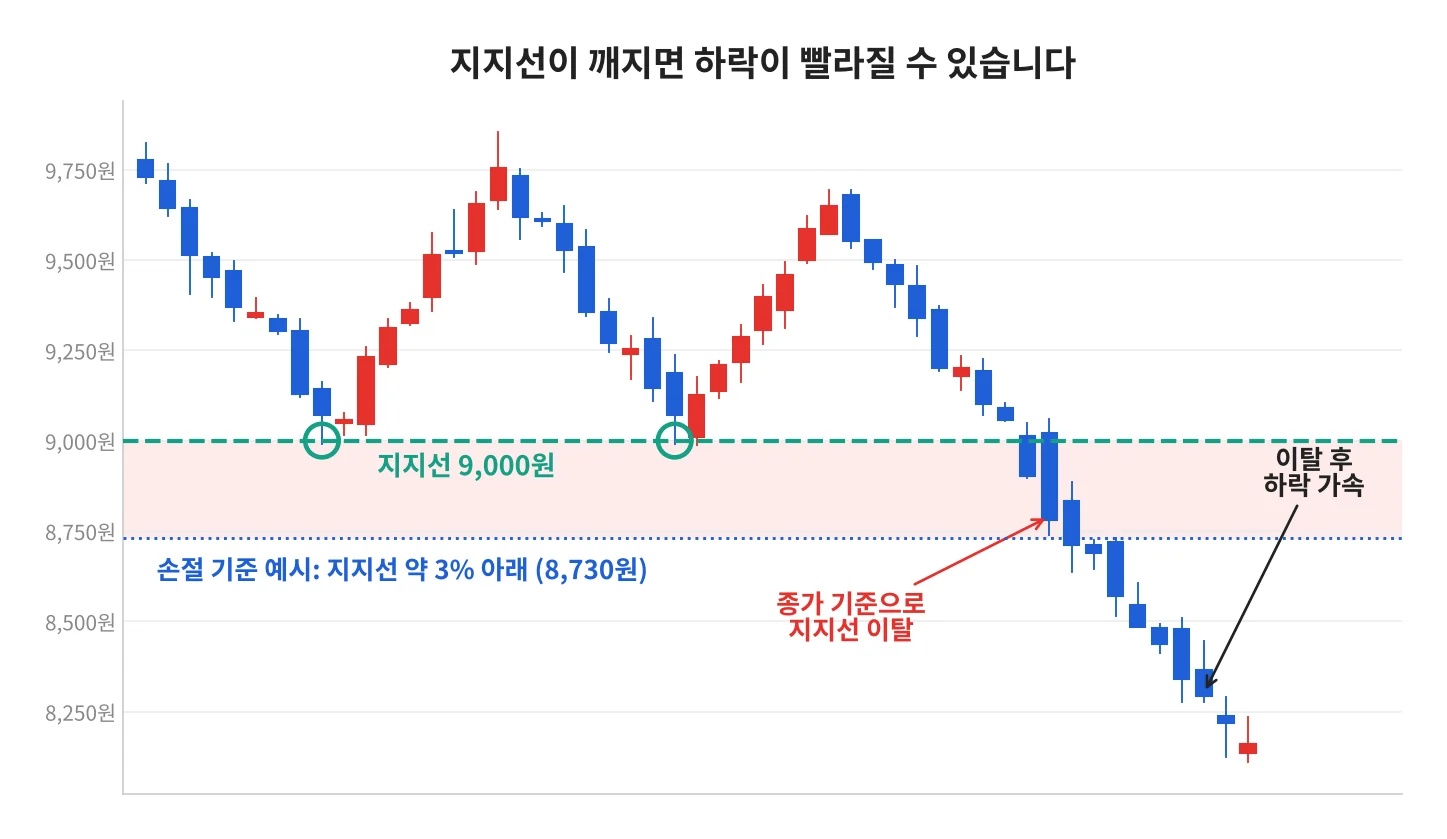 칼럼 사진