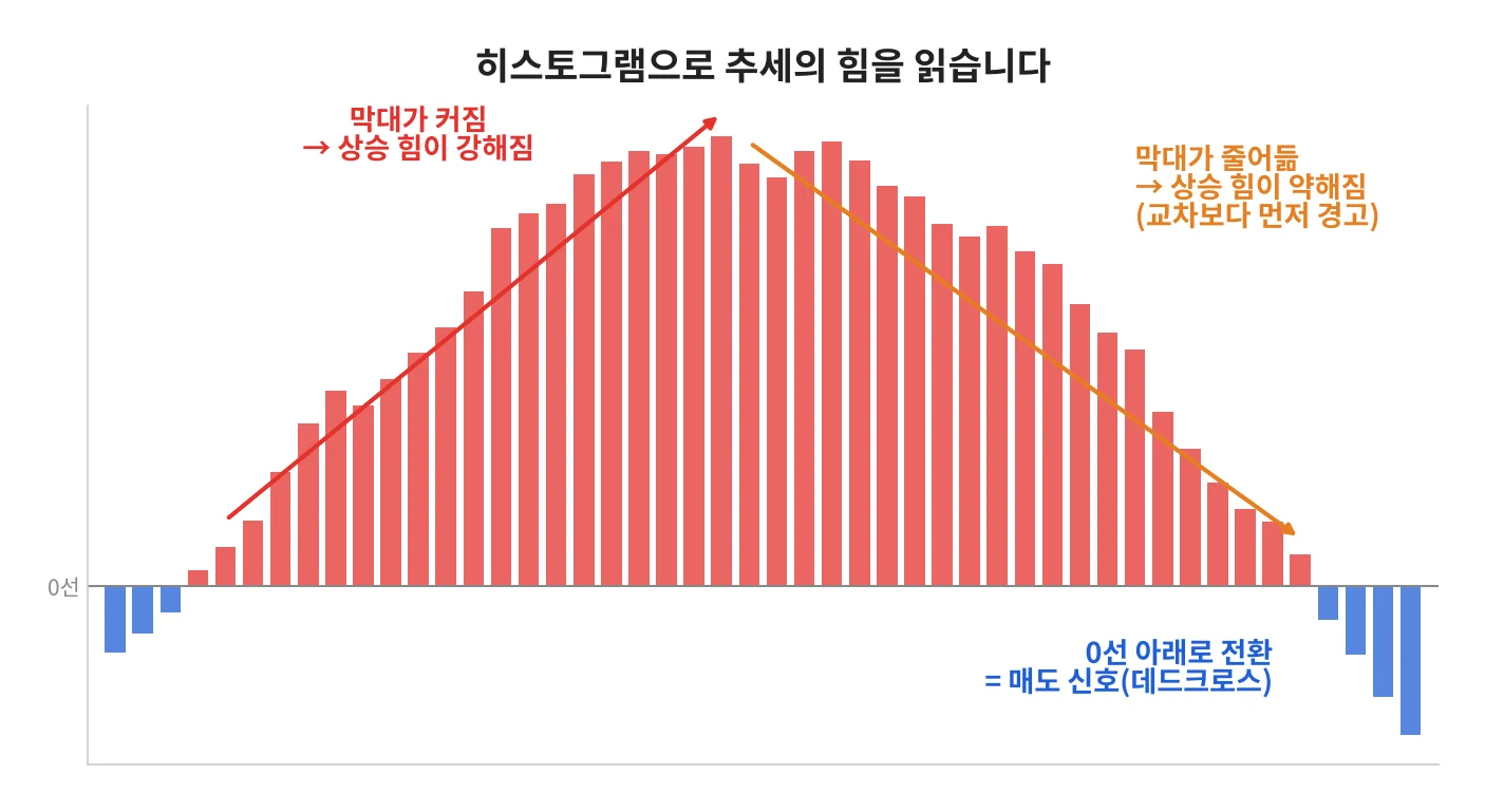칼럼 사진