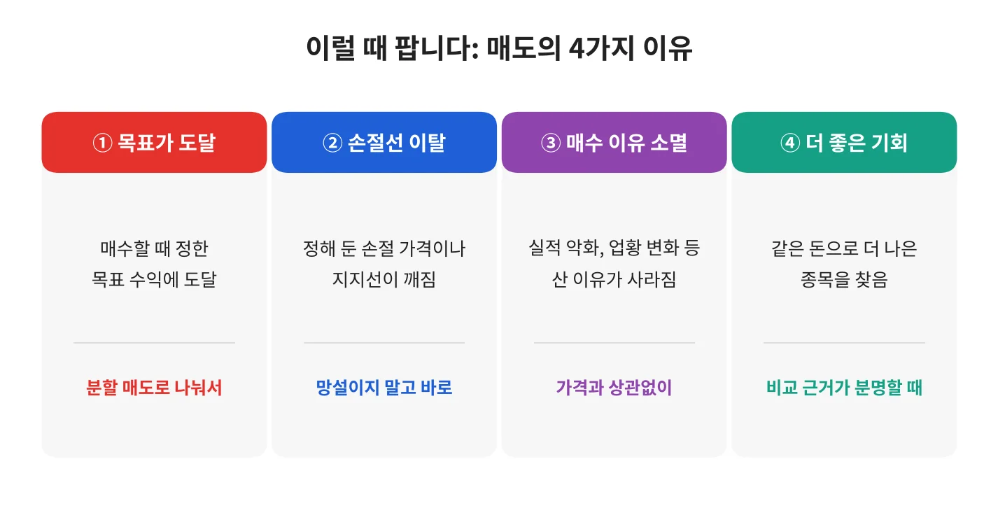 칼럼 사진