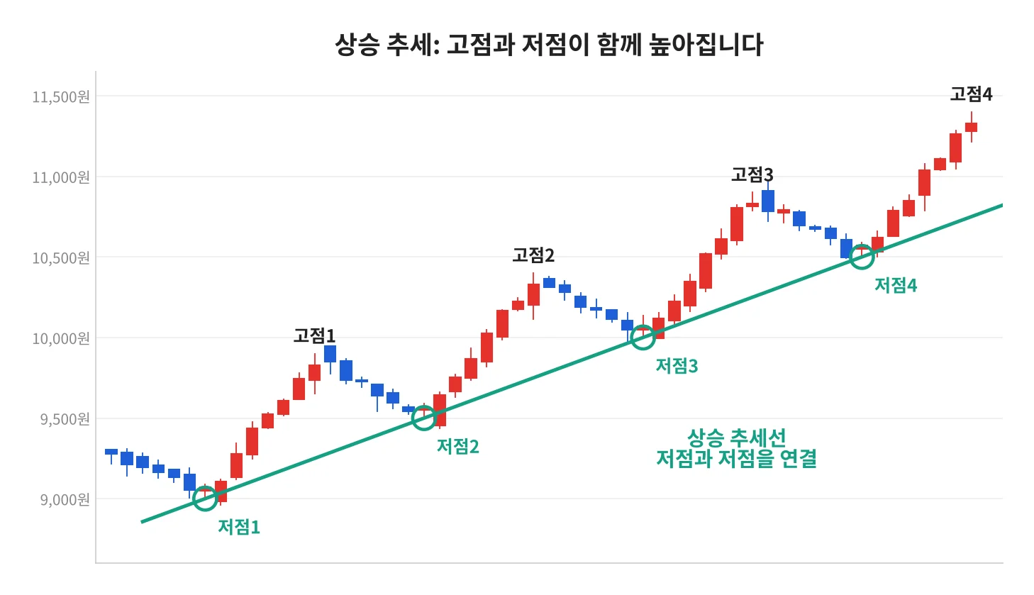 칼럼 사진