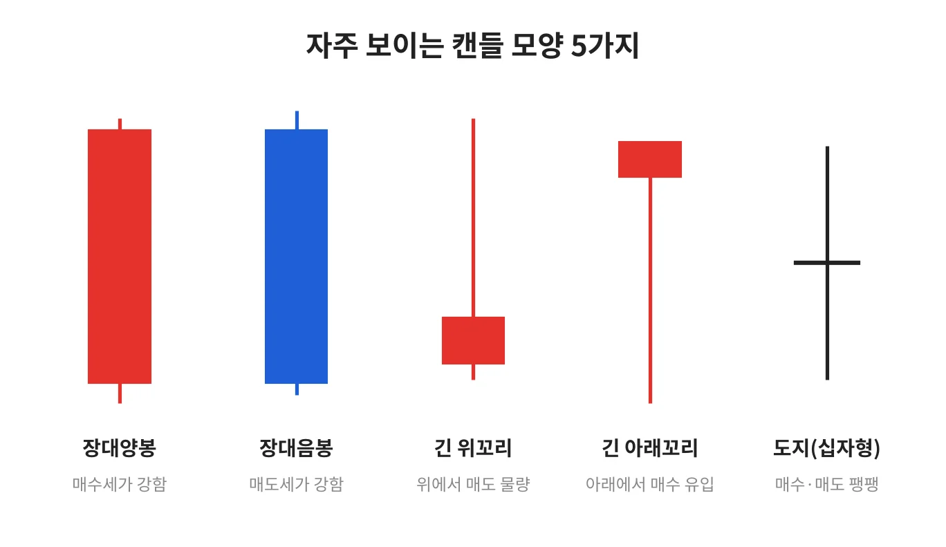 칼럼 사진