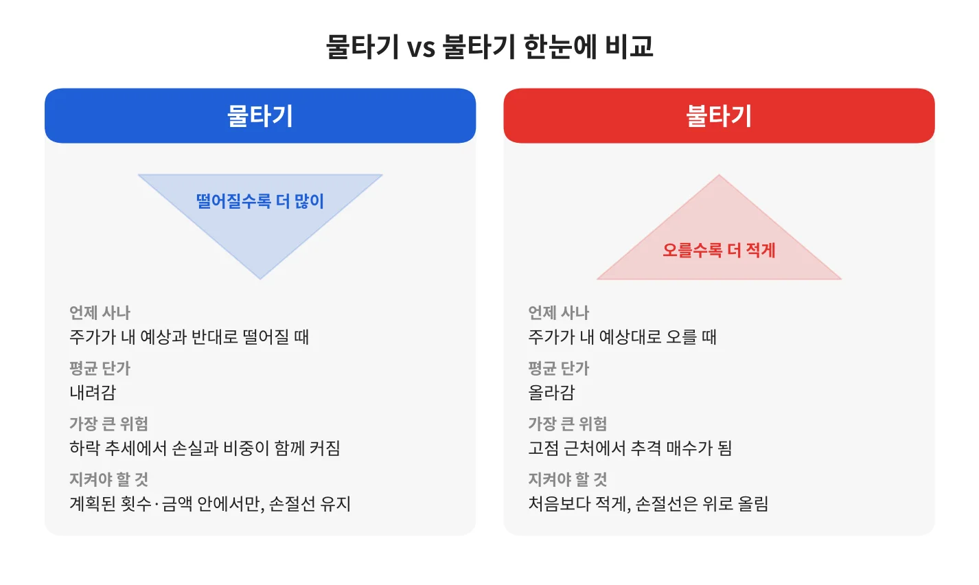칼럼 사진