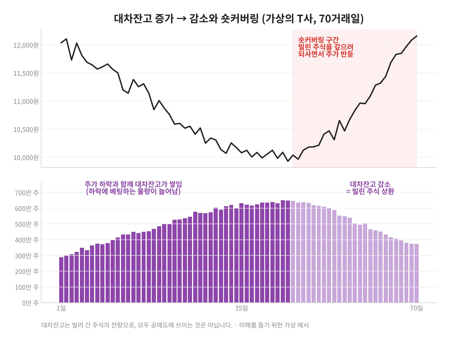 칼럼 사진
