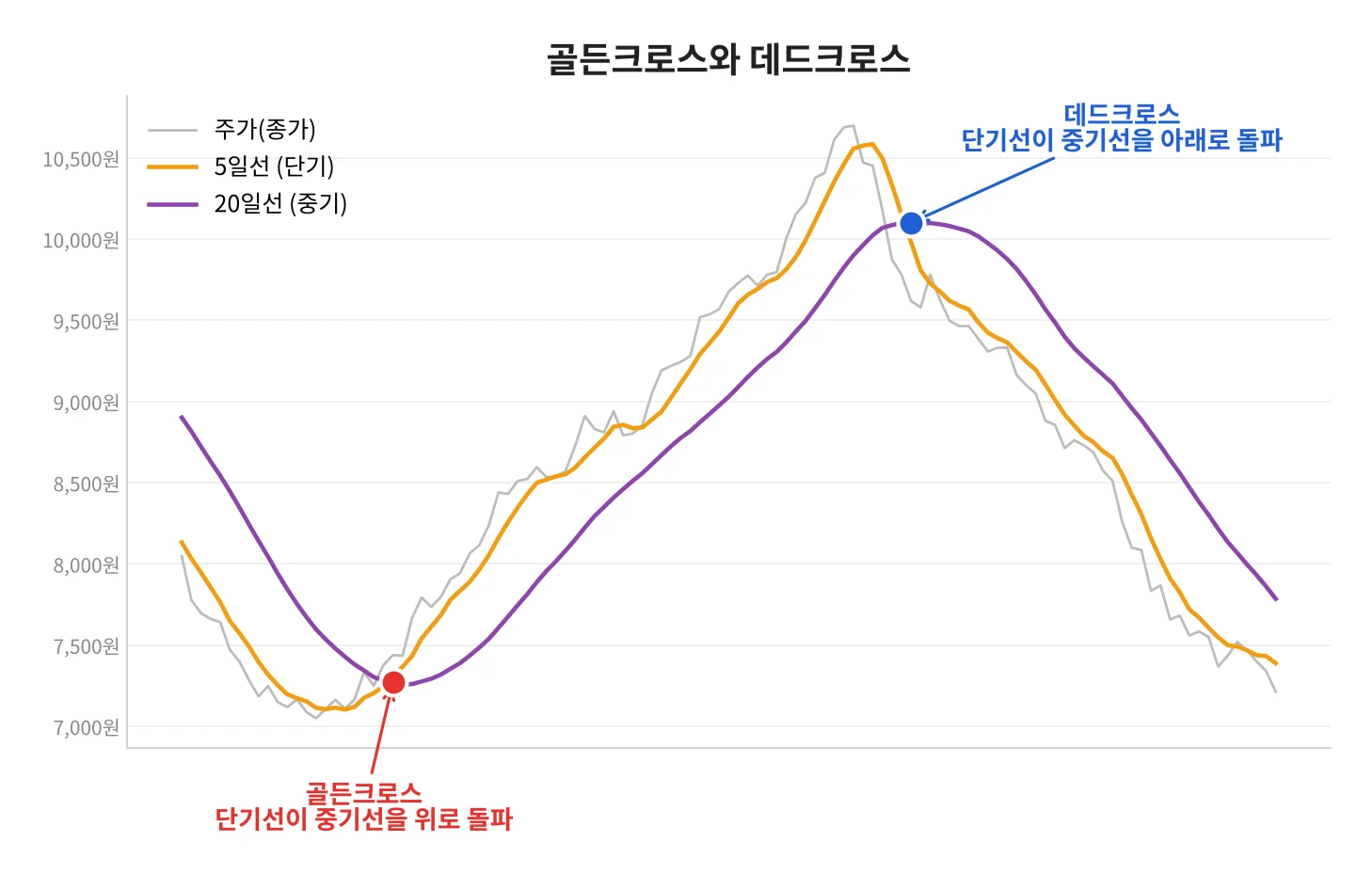 칼럼 사진