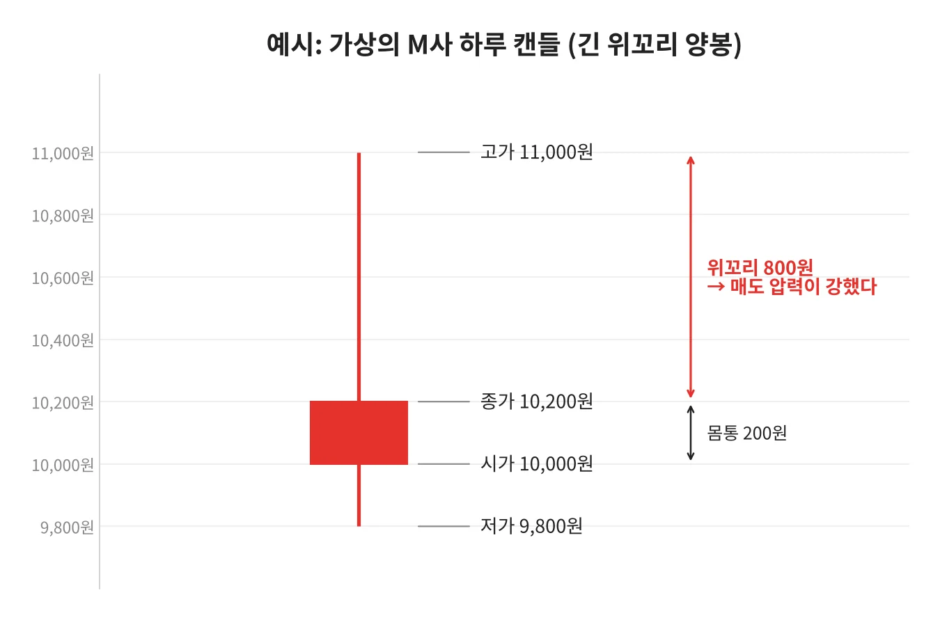 칼럼 사진