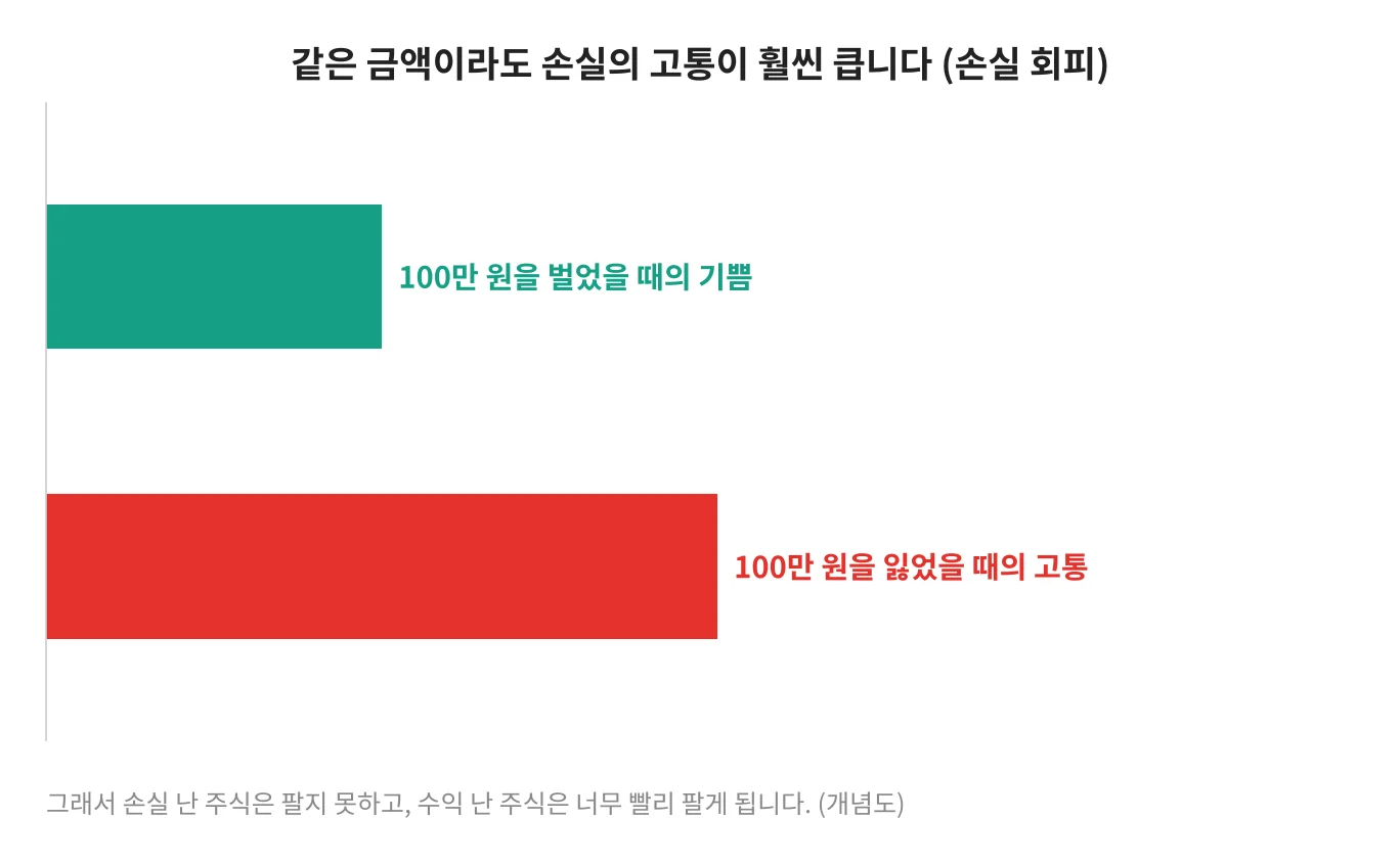 칼럼 사진