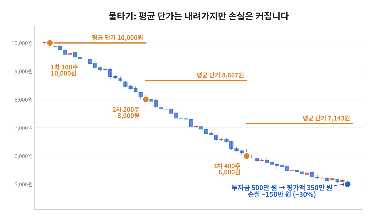 칼럼 사진