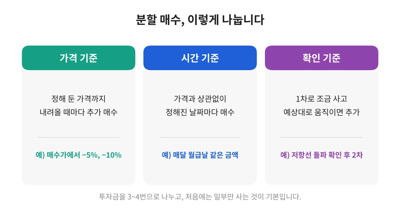 칼럼 사진