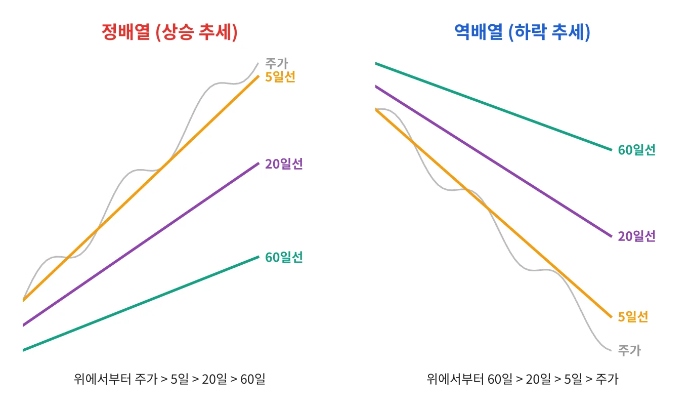 칼럼 사진