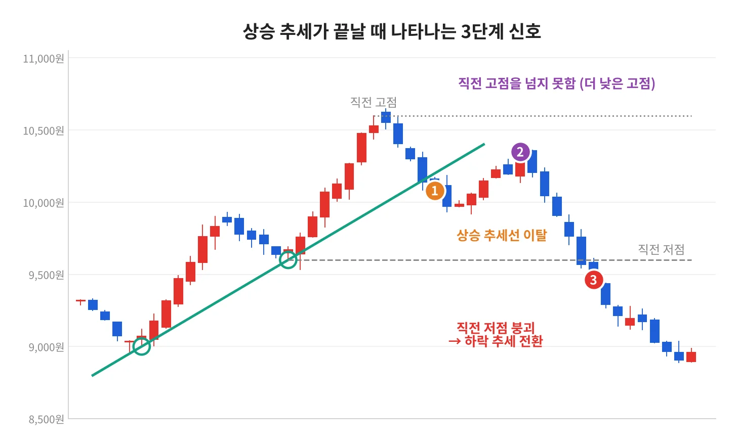 칼럼 사진