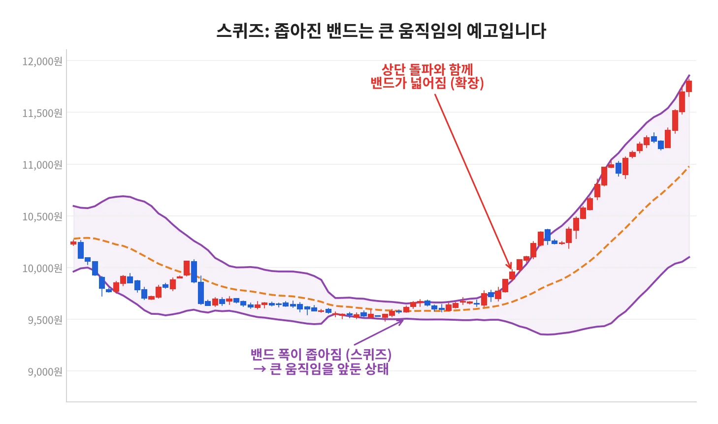 칼럼 사진