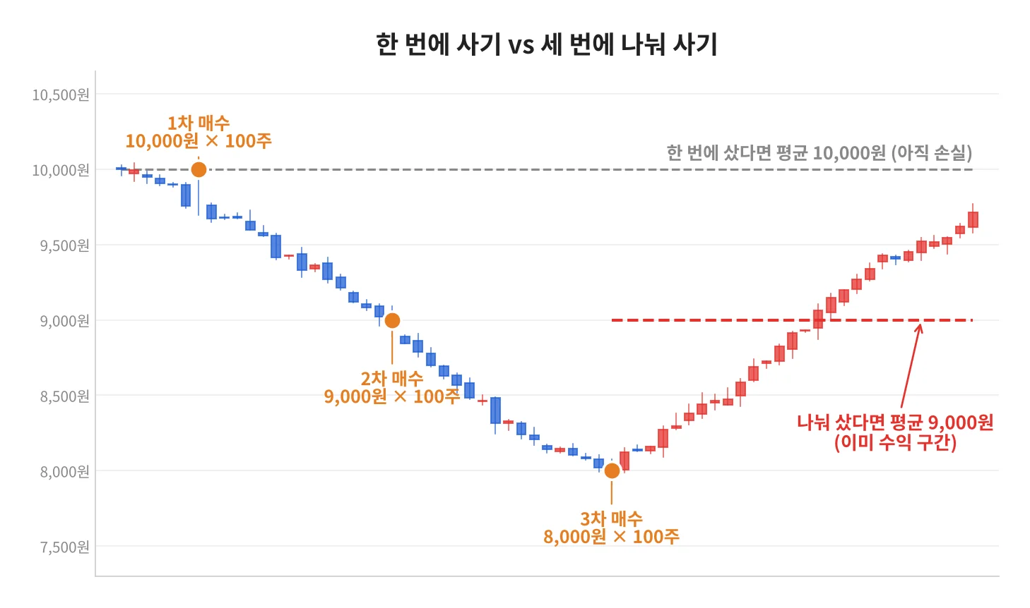 칼럼 사진